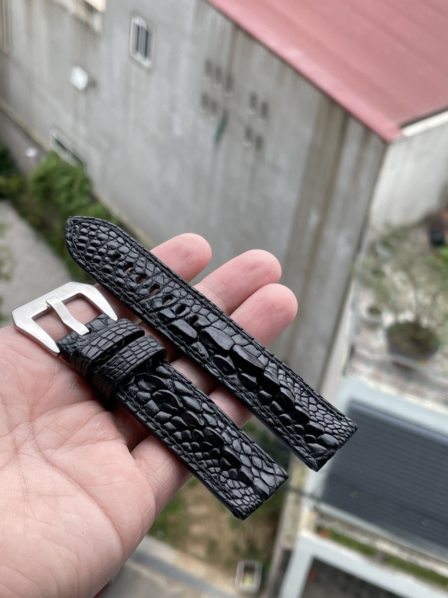 Black crocodile leg skin leather strap HDCLS02