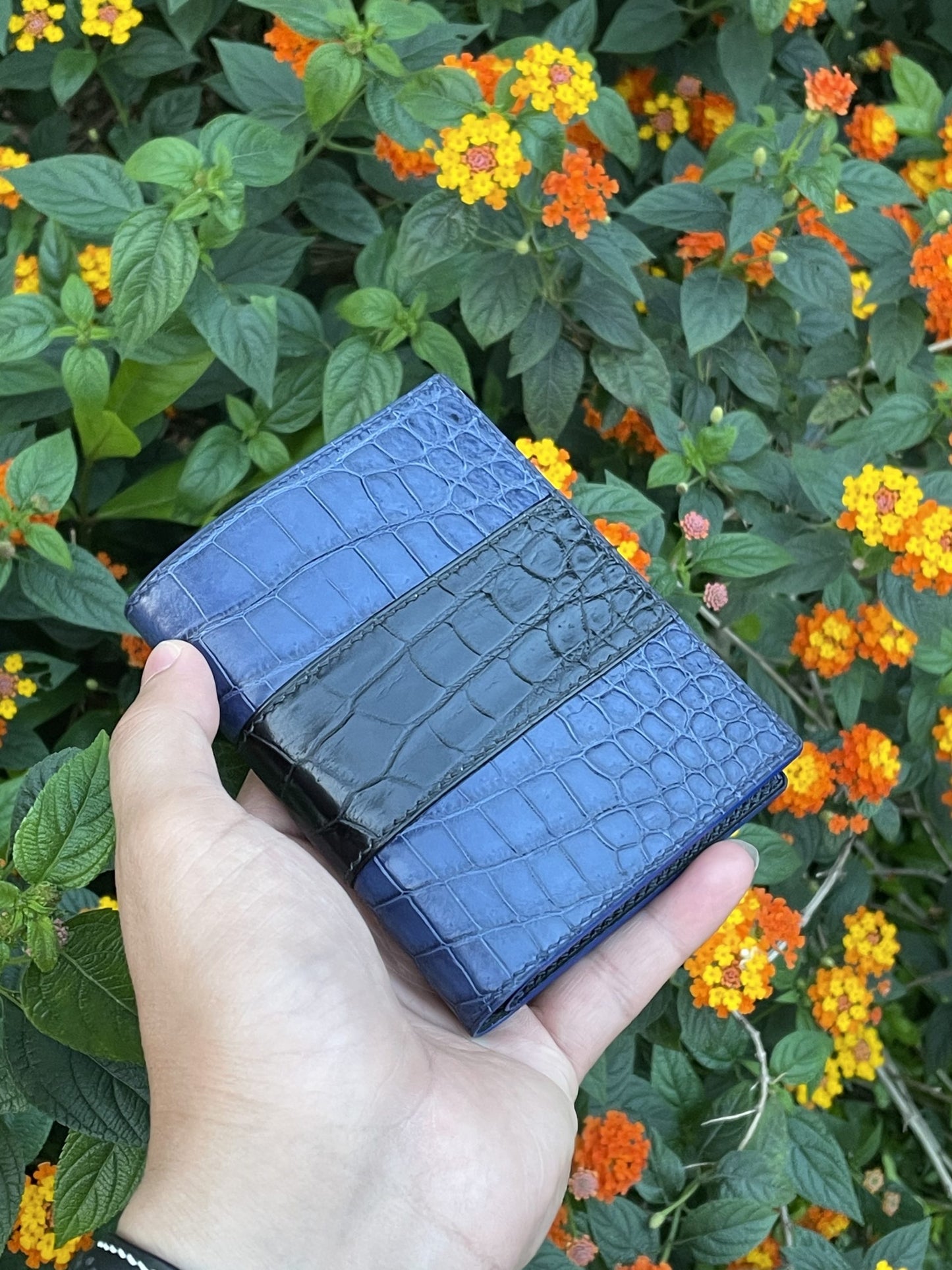 Blue Crocodile leather bifold man wallet HDWA51