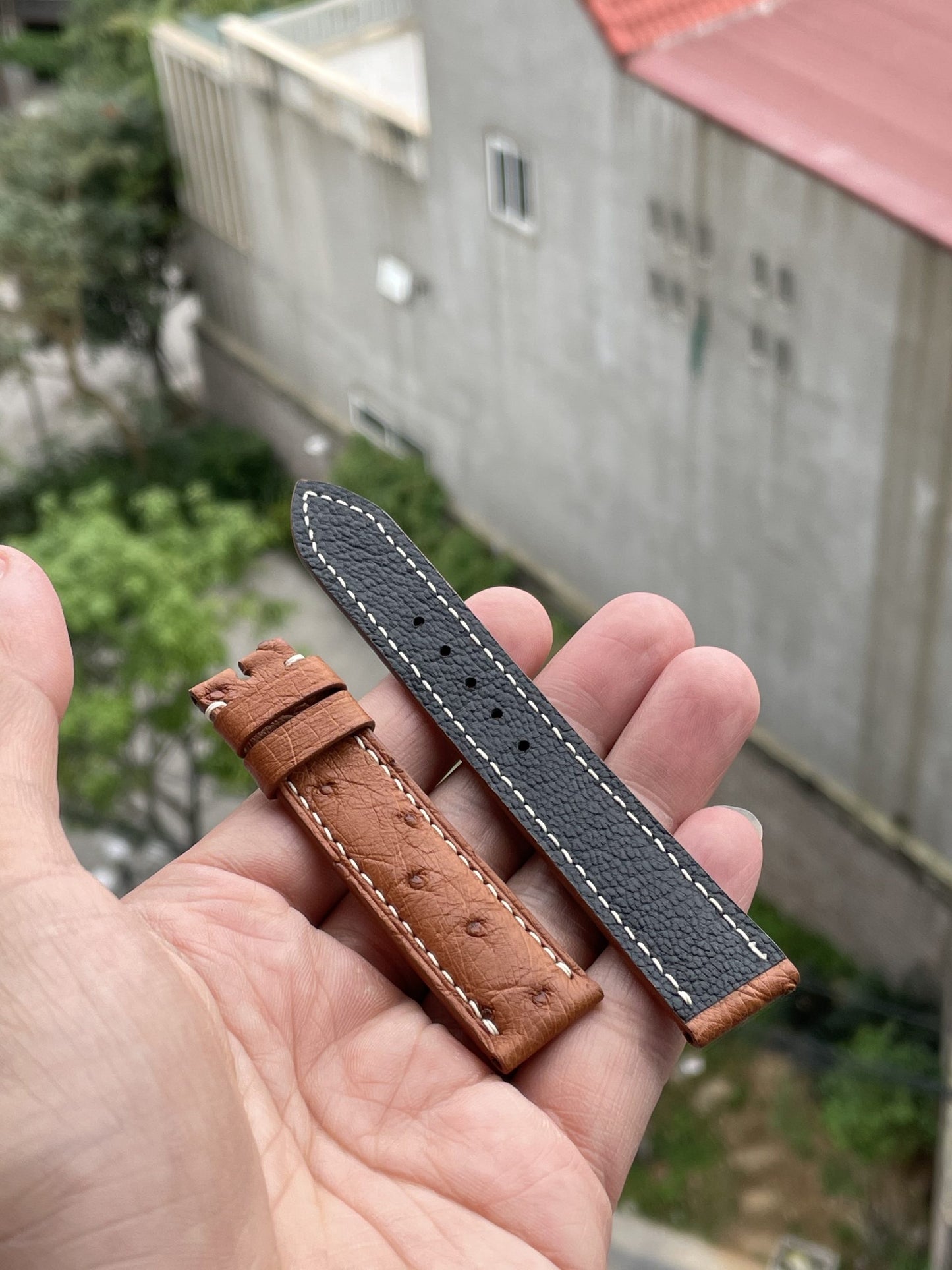 Brown ostrich belly skin leather watch strap HDOB02