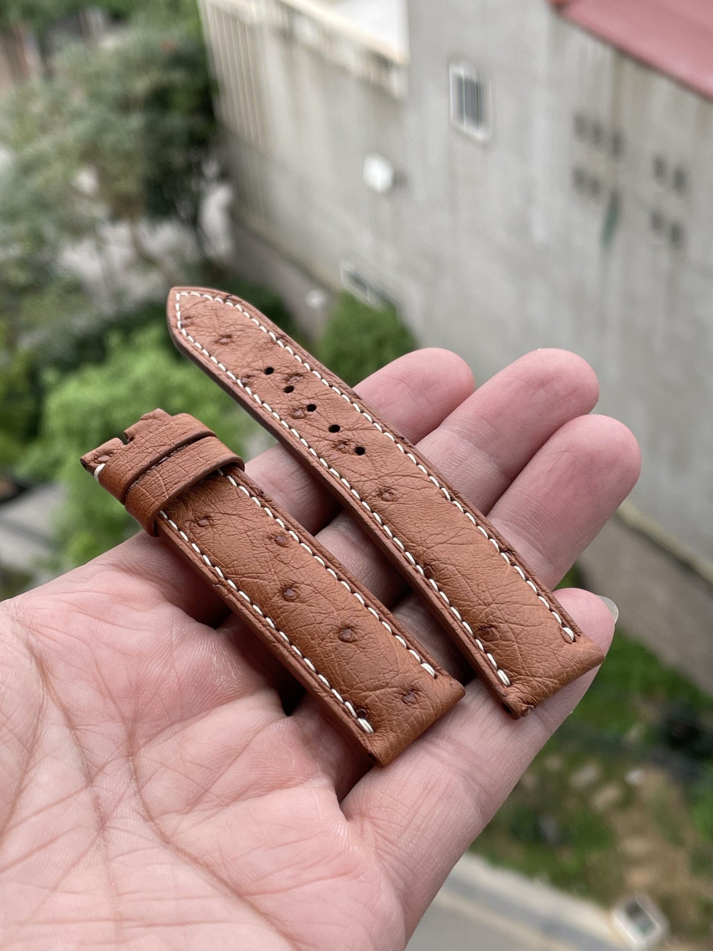 Brown ostrich belly skin leather watch strap HDOB02