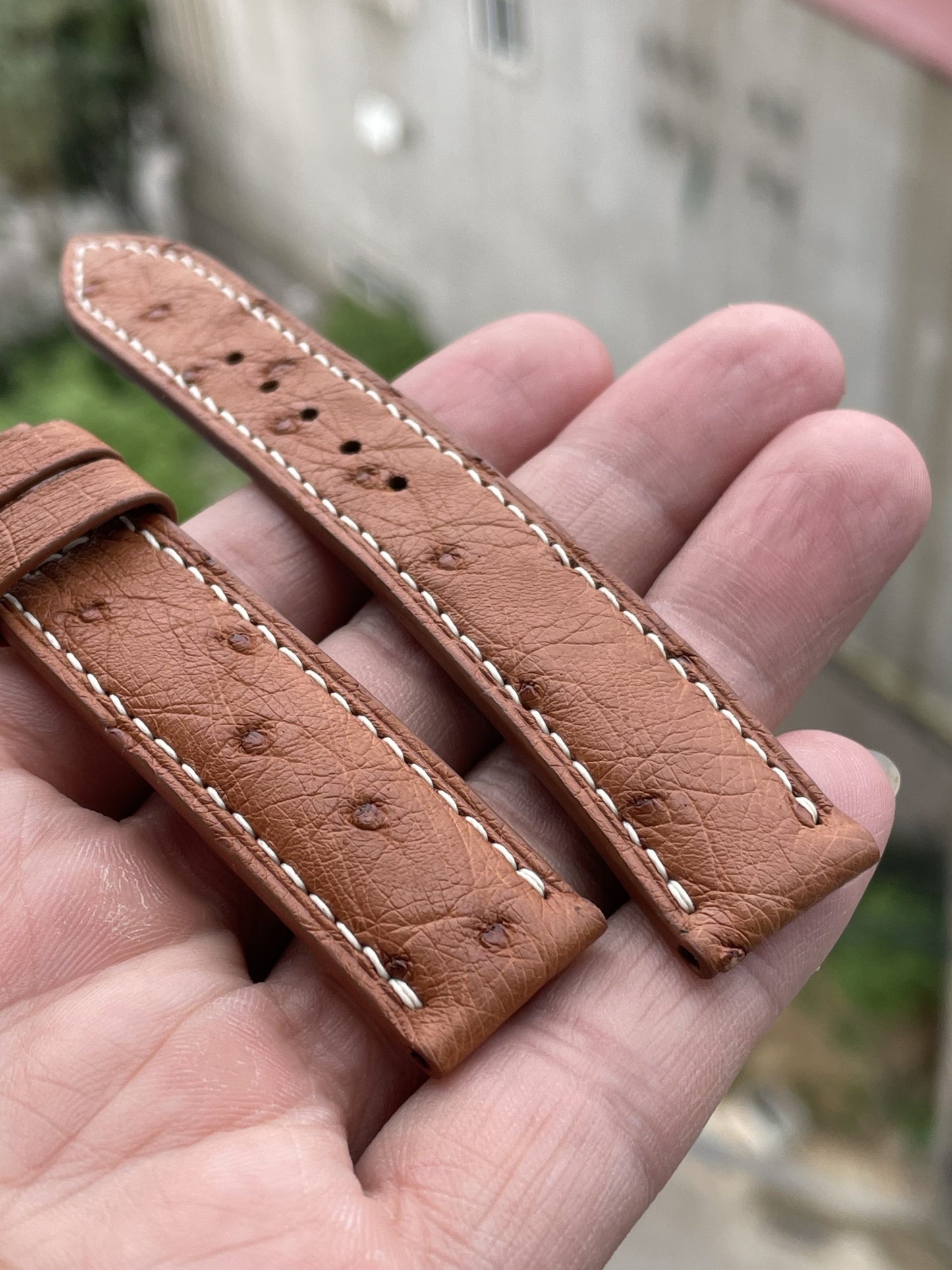 Brown ostrich belly skin leather watch strap HDOB02