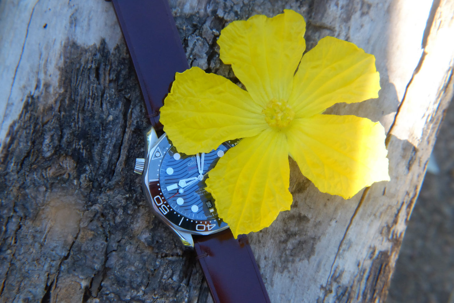 BESPOKE GENUINE BROWN SHELL CORDOVAN LEATHER WATCH STRAP HDOS06