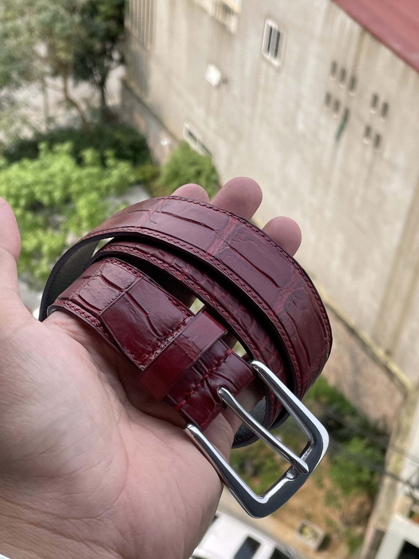 Red Domestic crocodile leather belt HDBE07