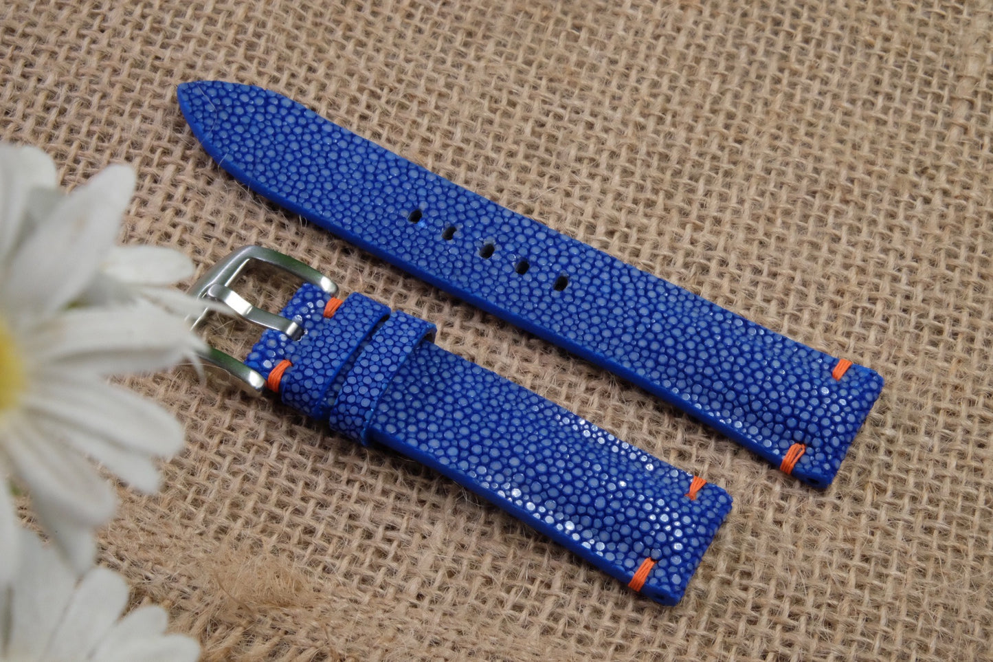 No pearl blue stingray strap HDST132