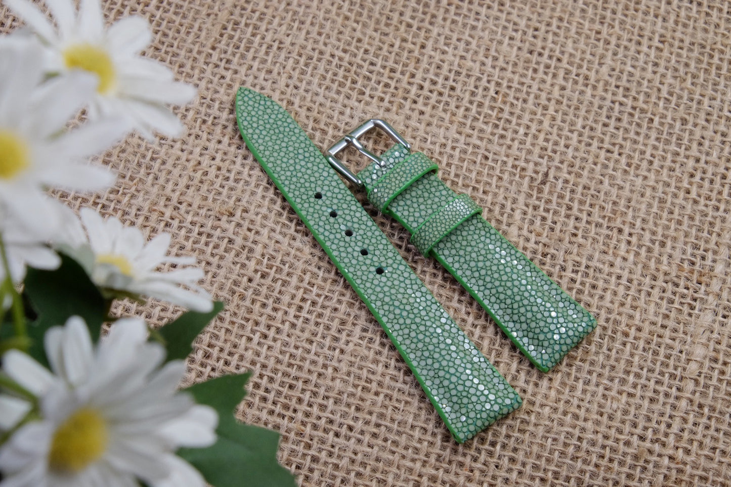 No pearl green stingray leather strap HDST133