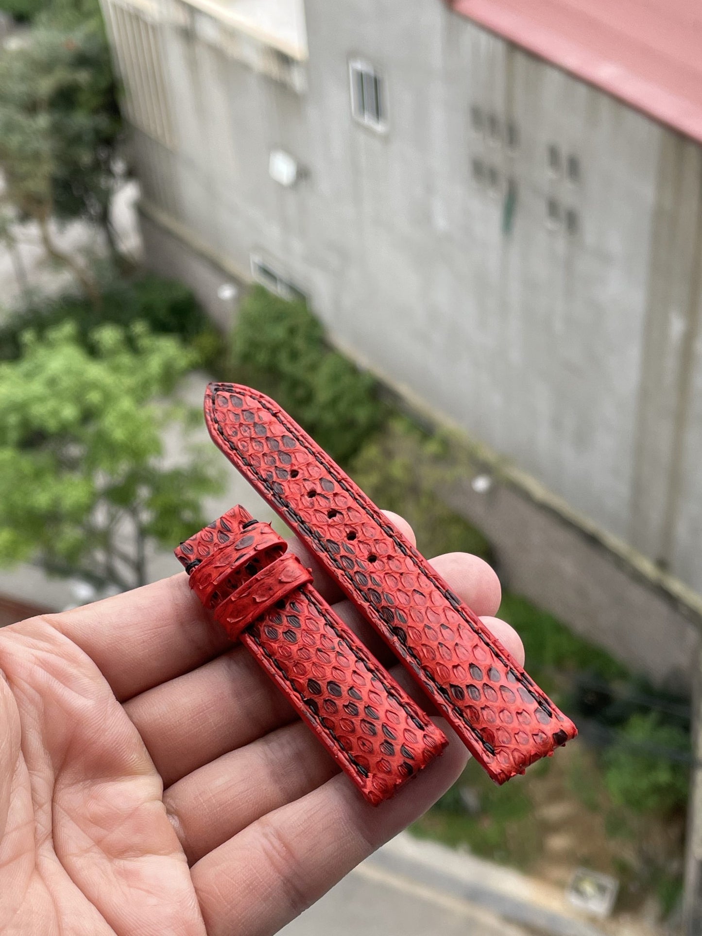 Red python leather watch strap HDPS17